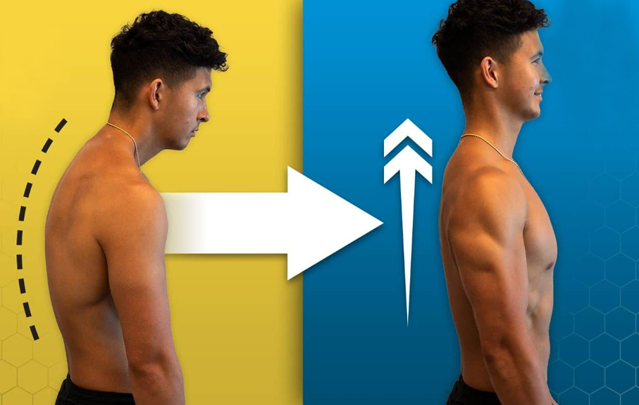 Muscle Straightening